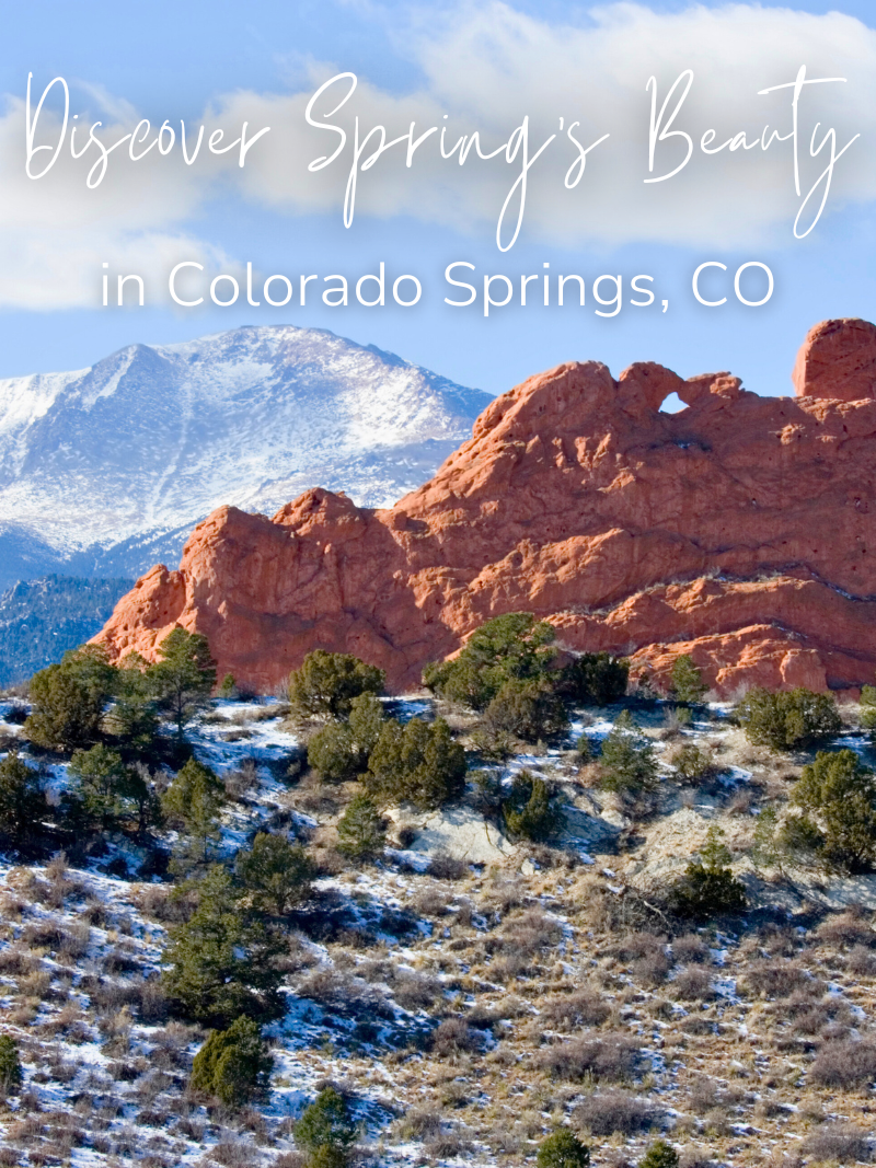 Spring Is Calling — Colorado Is Waiting