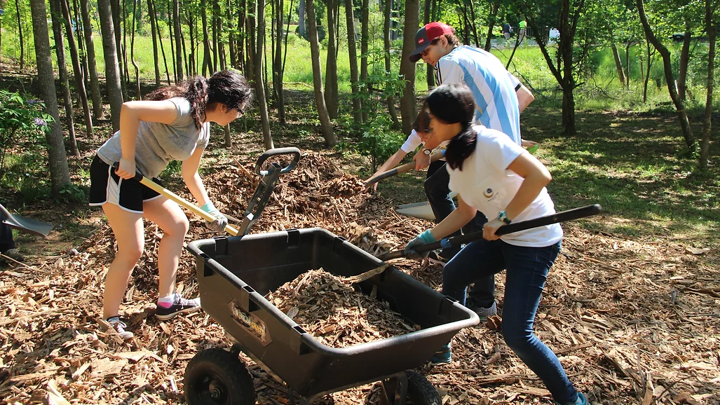 FOLC Volunteer Days