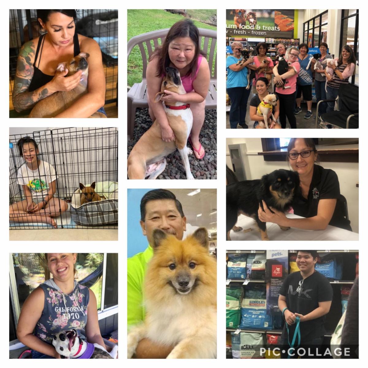 Aloha Ilio Rescue December 2020 Newsletter!
