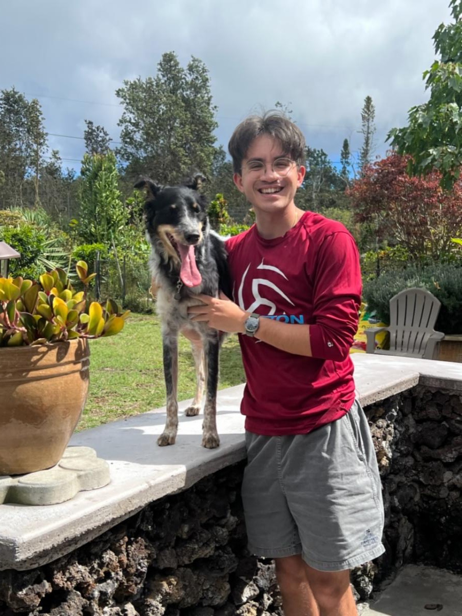 Aloha Ilio Rescue The Monthly Wag!