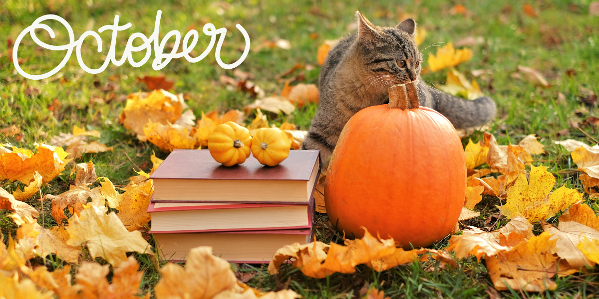 Picture of stack of books with fall leaves, a pumpkin, and a cat around them.  The word October is in the corner.