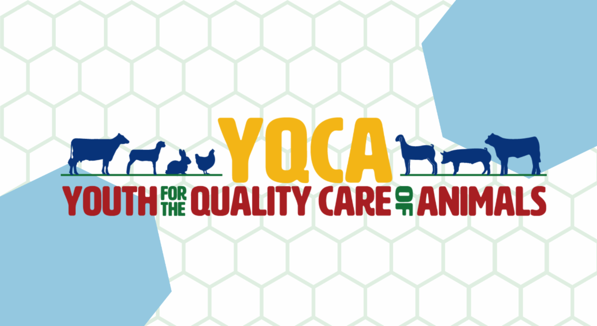 Youth for the Quality Care of Animals (YQCA) banner