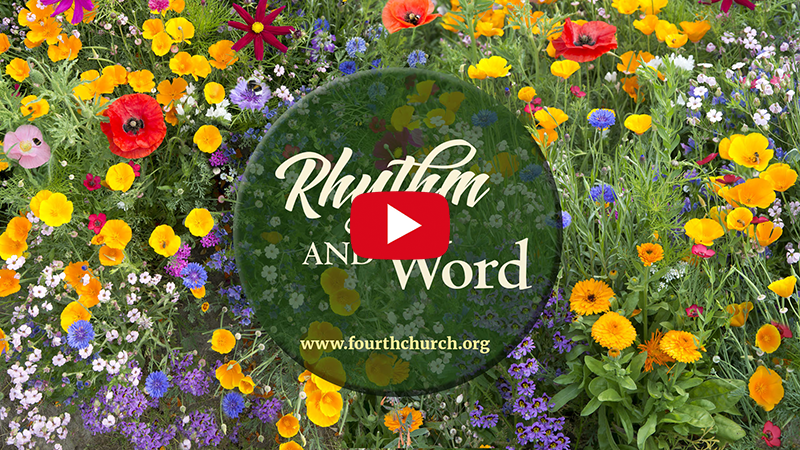 8262ca01-99e6-4d1d-aa86-597ea6098489 image