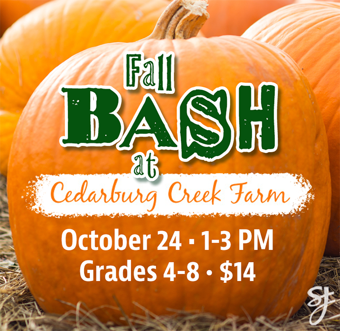 Fall BASH