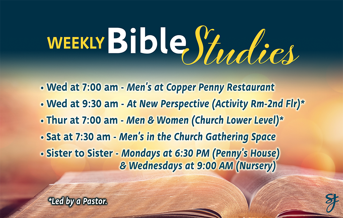 Weekly Bible Studies