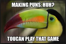 punny stuff by george