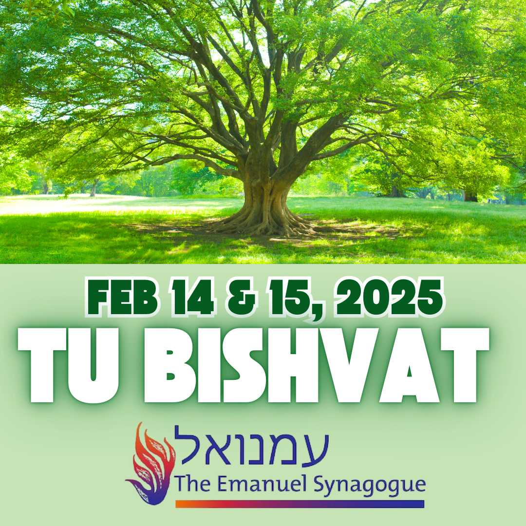 It's All Happening at The Emanuel Feb 12, 2025 / 13 Shevat 5785