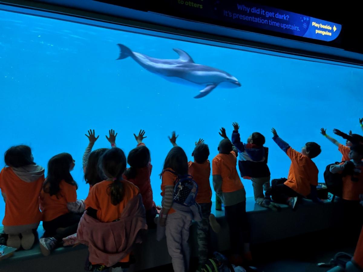 Adventure Campus at Aquarium
