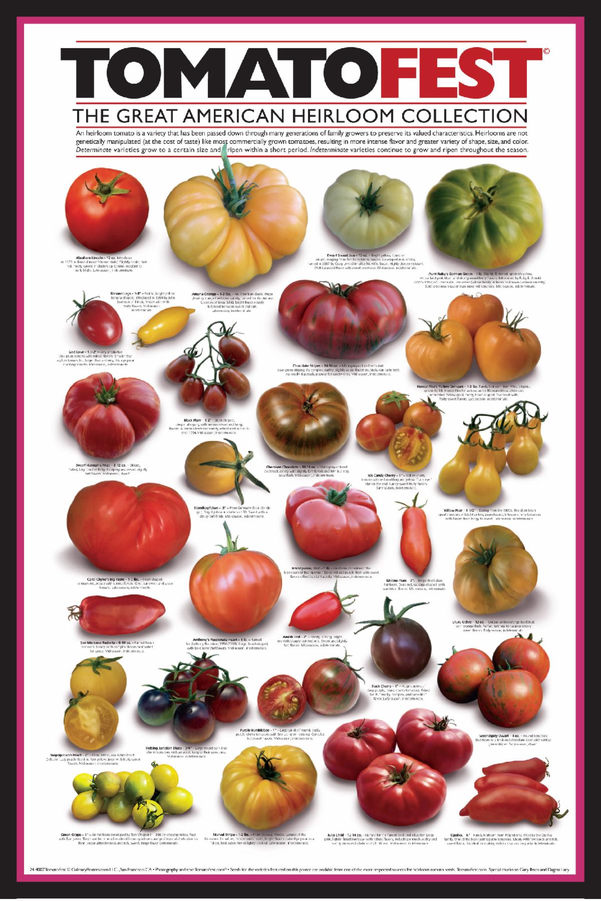 TomatoFest The Great American Heirloom Collection Poster