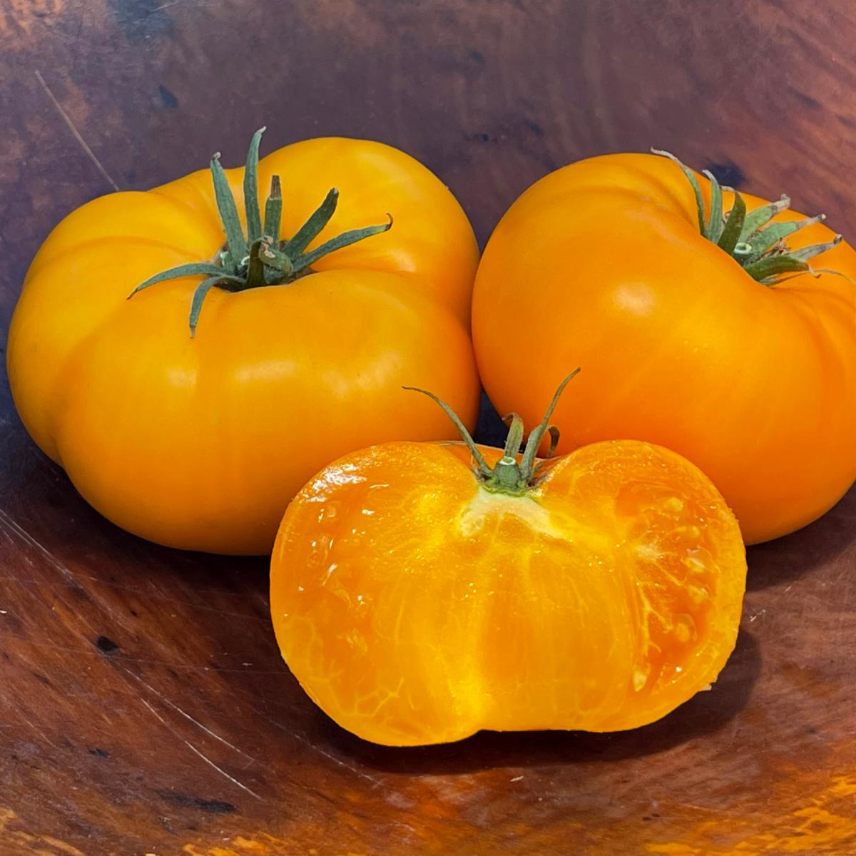 Gary Ibsen's Gold Tomato