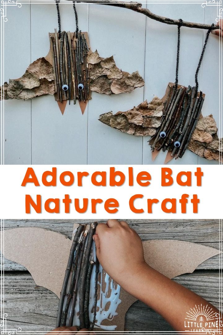 Bat