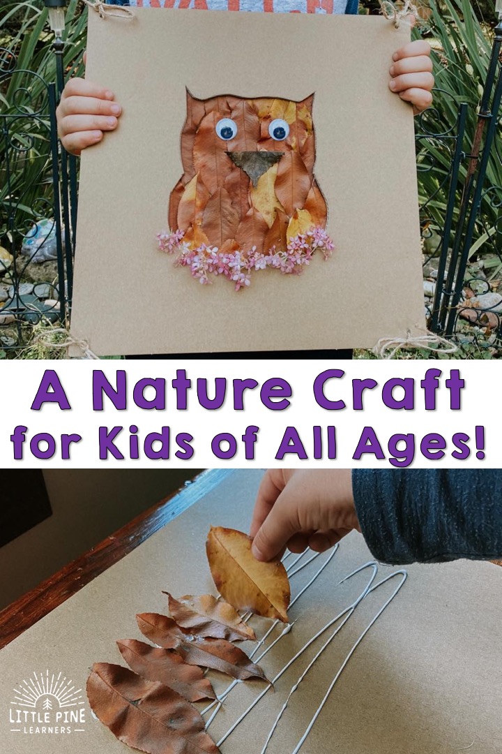 Owl Craft