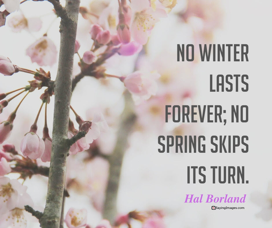 Poem Spring