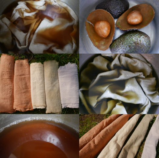 Botanical dye