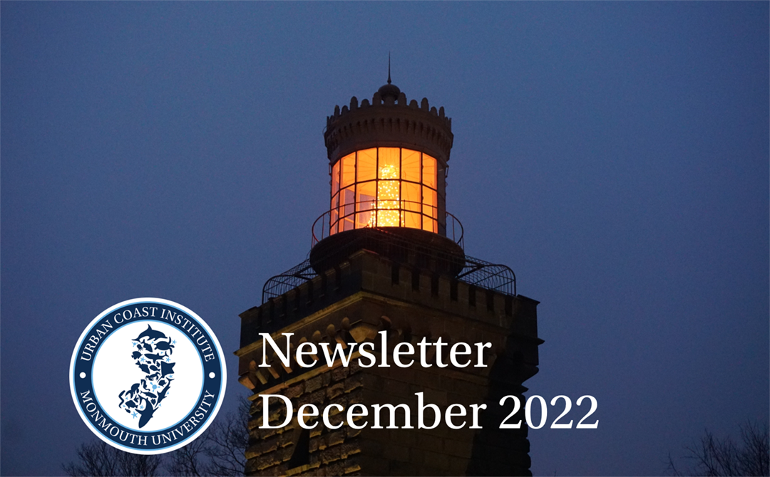 newsletter december 2022