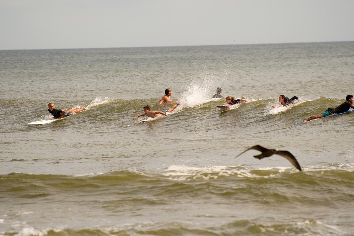 Young surgers paddling to try to catch a wave
