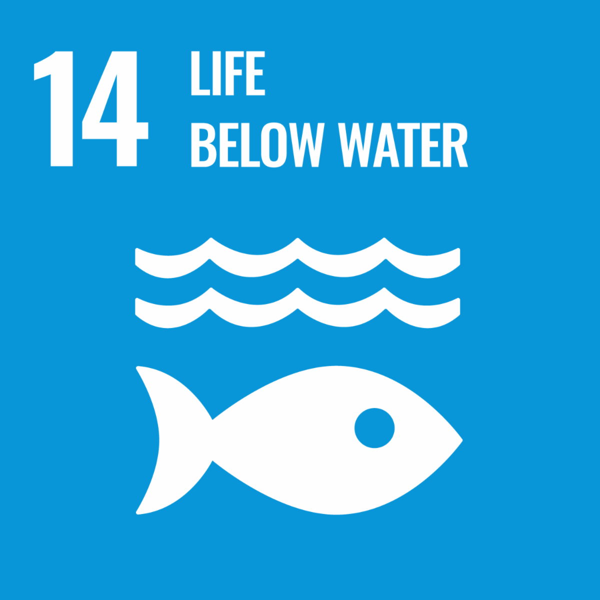UN Sustainable Development Goal icon #14, reading "life below water"