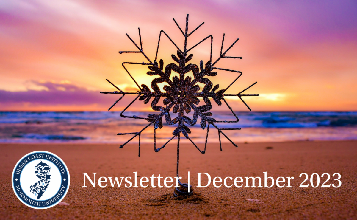 Snowlflake ornament on beach and text reading "December 2023 newsletter"