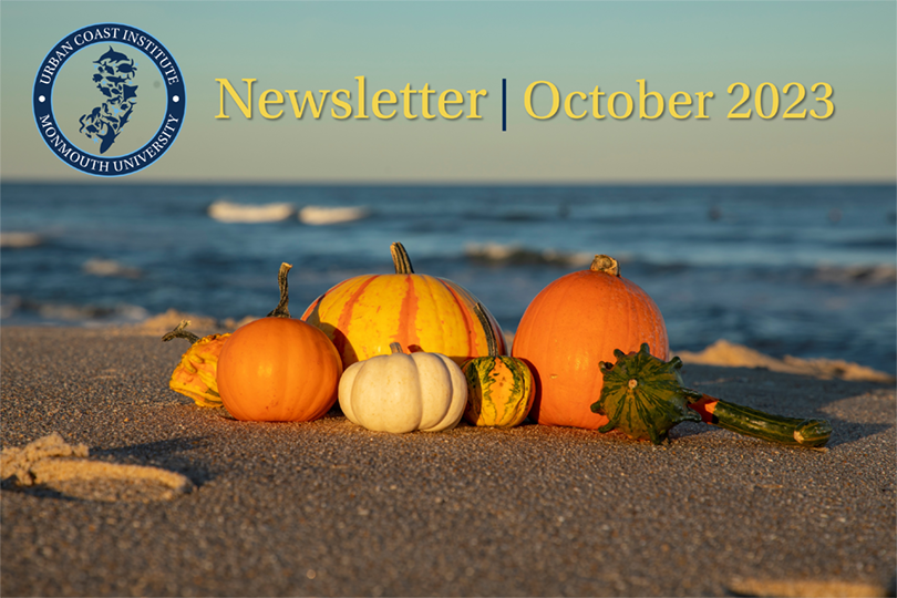 October 2023 newsletter heading over image of pumpkins on the beach