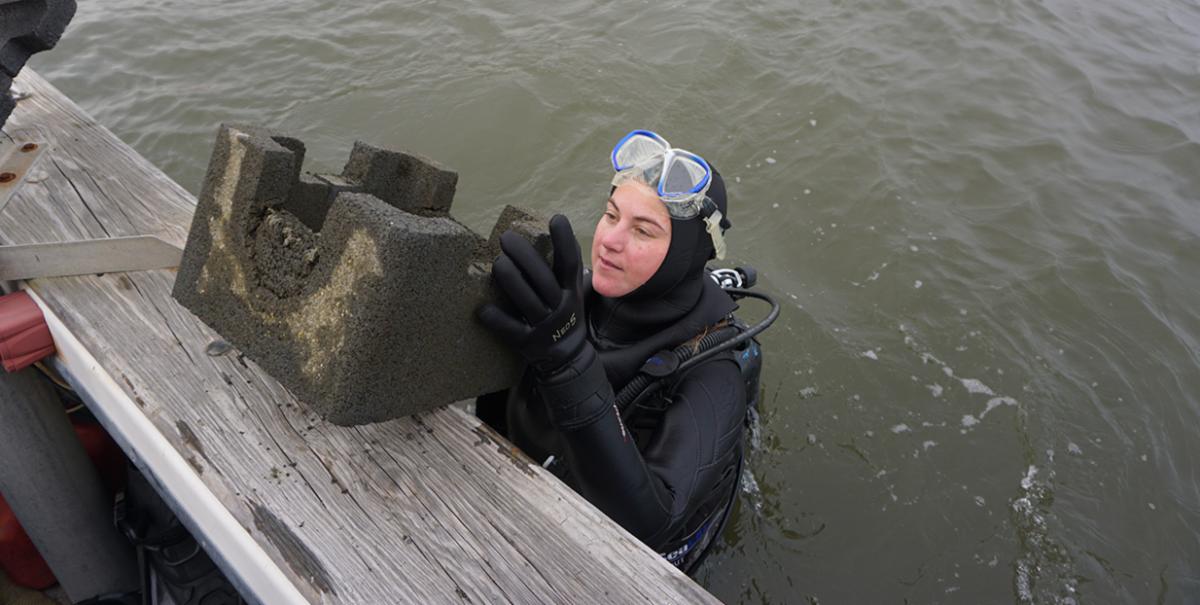 A dive taking possession of a reef castle block in the water