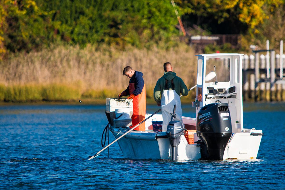 Nearshore fishing activity