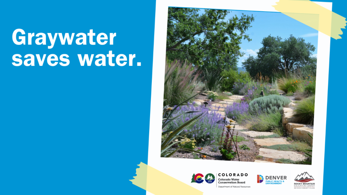 Landscaped garden pathway with a slogan Graywater saves water