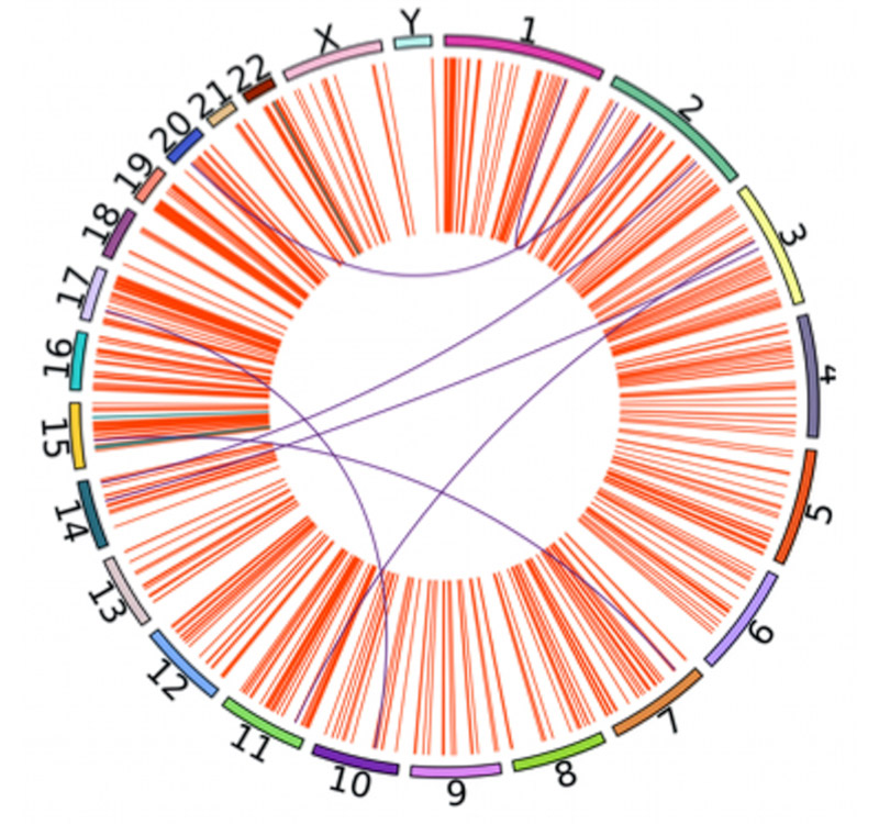 This illustration demonstrates how metapipeline-DNA processes raw genome sequencing data. It begins by aligning the sequence of DNA base pairs to a reference genome. Then produces sets of detected variants and other genetic and evolutionary features. Image credit: Yash Patel, Sanford Burnham Prebys.
