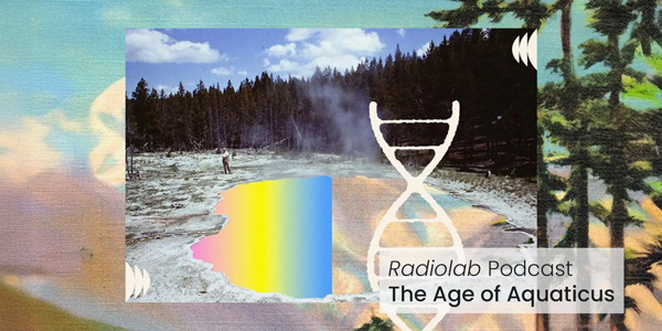 The Age of Aquaticus graphic. Image credits Jared Bartman