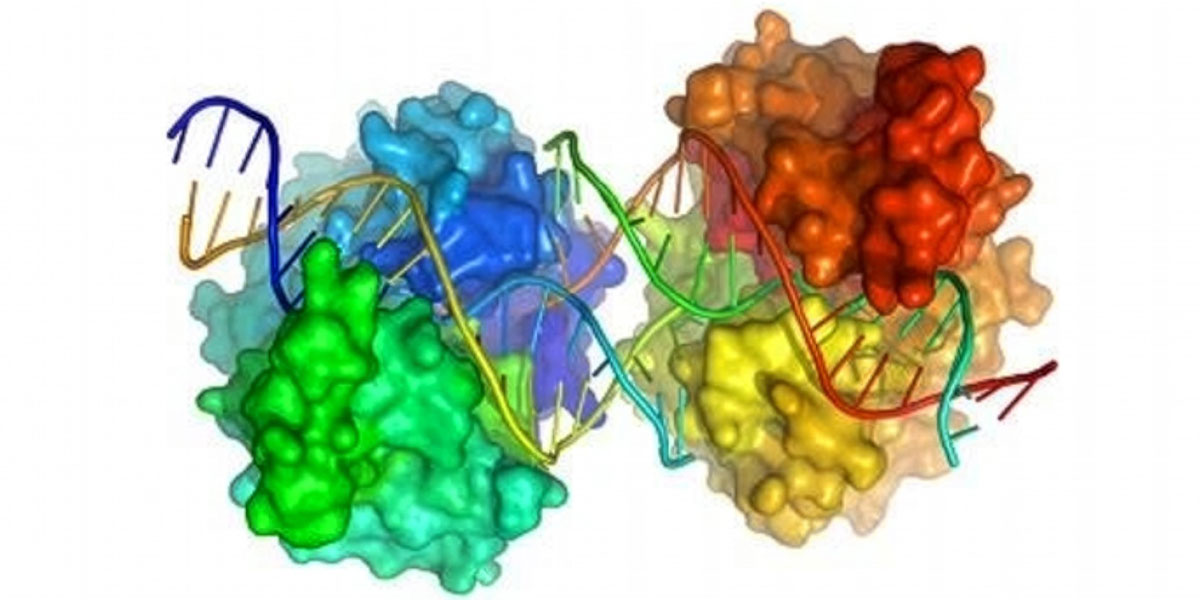Computational or in silico modeling at the molecular level is a quicker, more effective method for assessing how experimental therapeutic compounds behave and interact, speeding drug development.