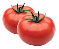 Hot House Tomatoes.jpg
