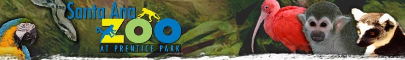 A graphic of Santa Ana Zoo banner with image of different animals.