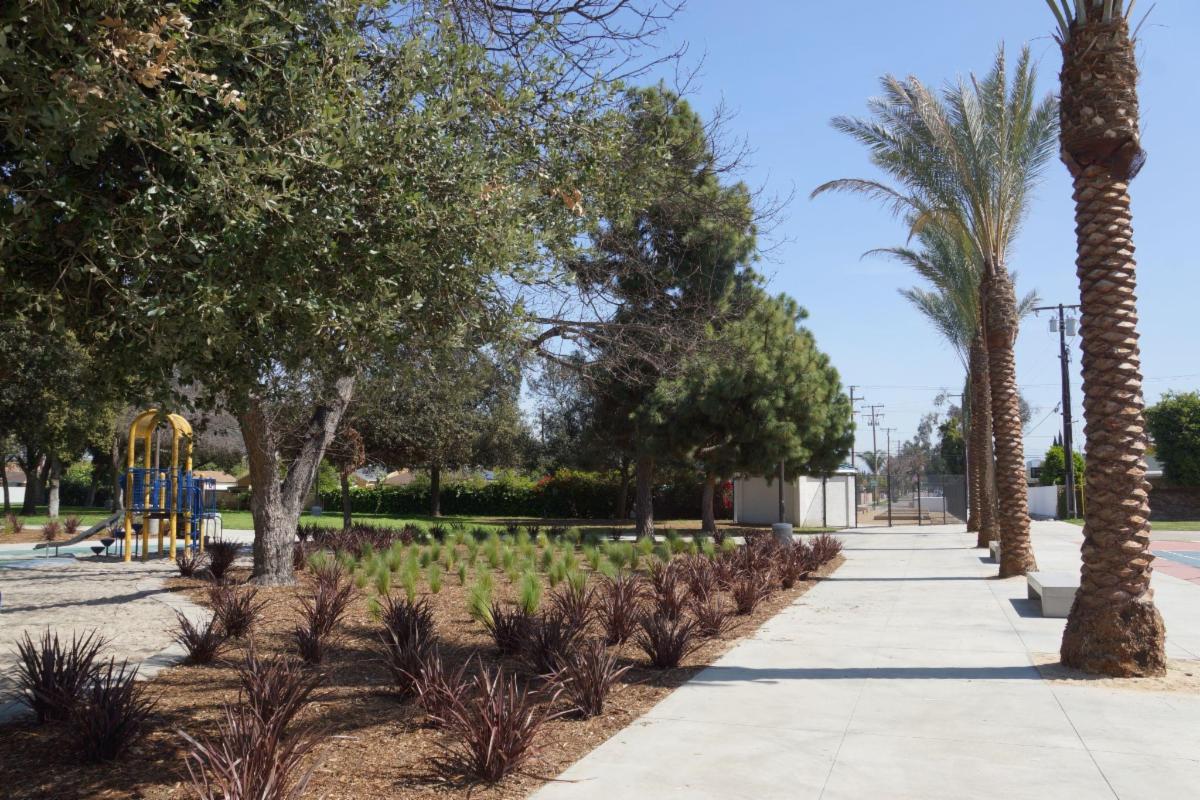 El Salvador Park Landscape