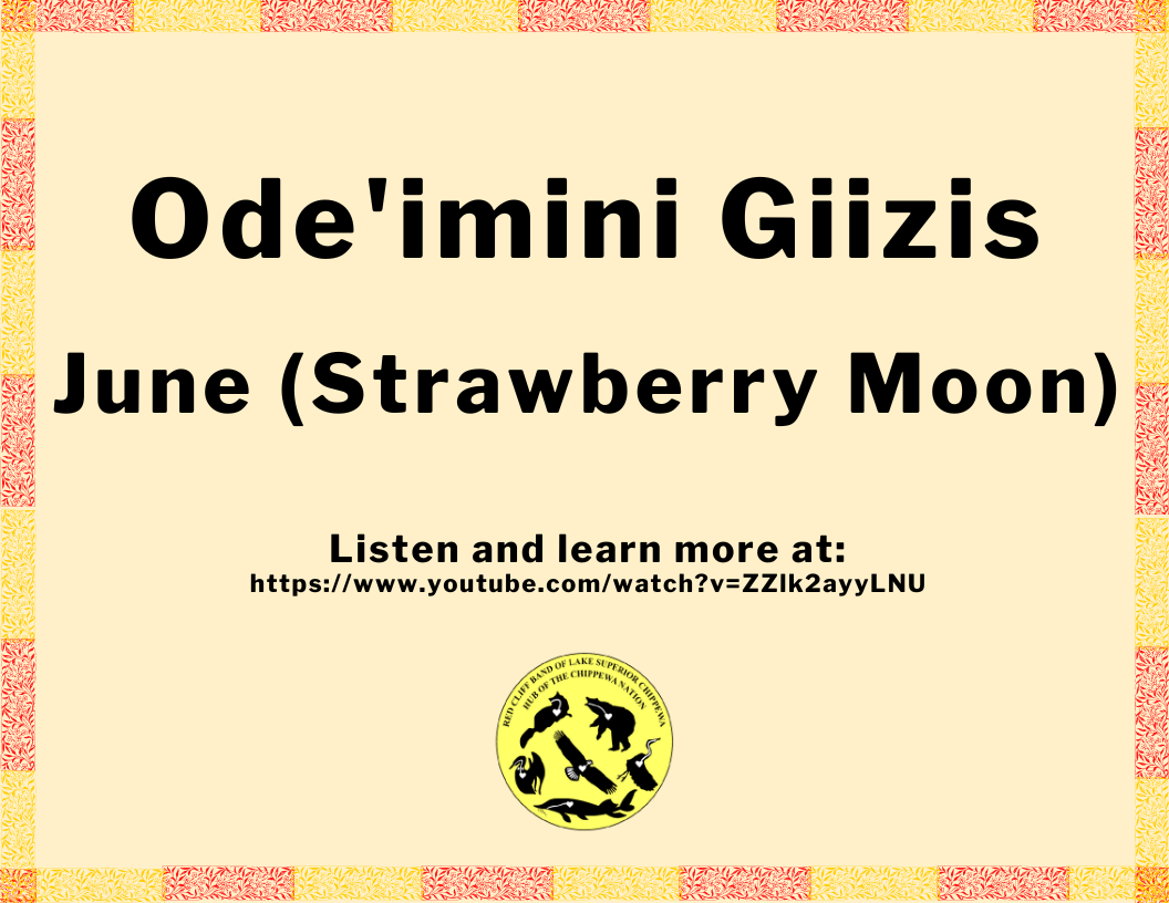 Miisaninawiind Weekly Newsletter June 1319, 2022
