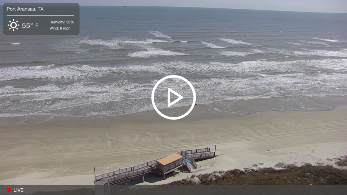 Check Out Our New Live Beach Cam 🏖