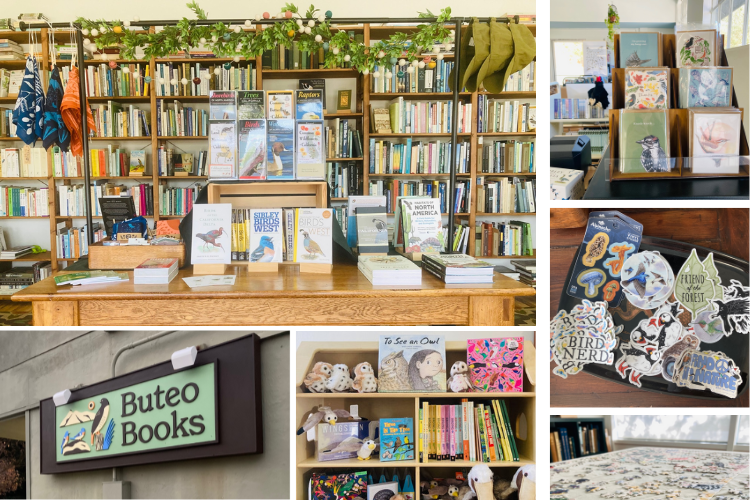 collage of interior and exterior bookstore