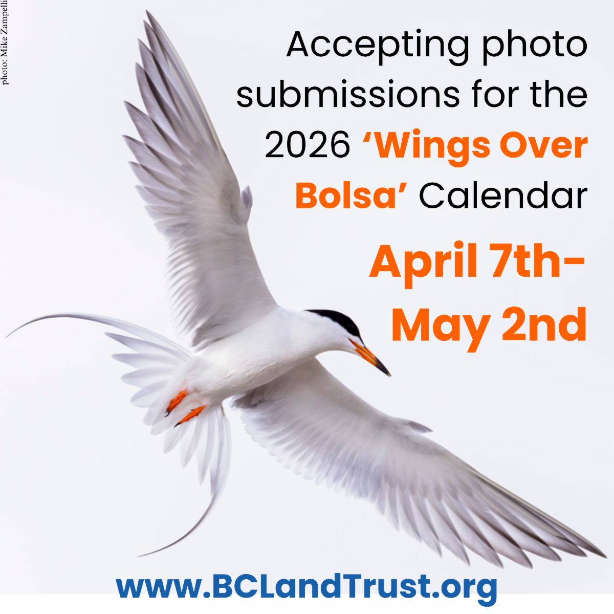 2026 calendar photo submissions open April 7-May 2nd