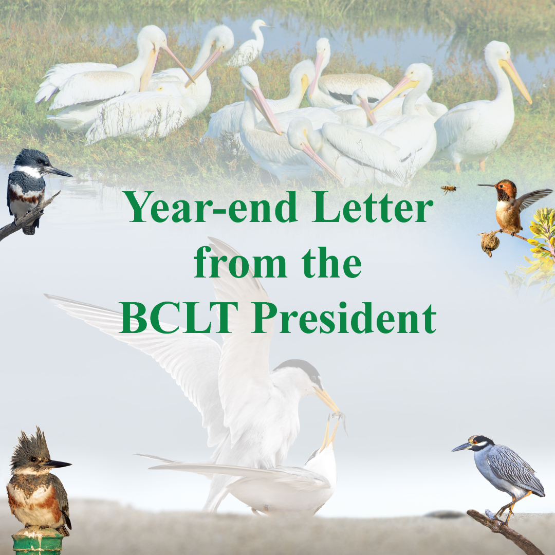 year-end letter front