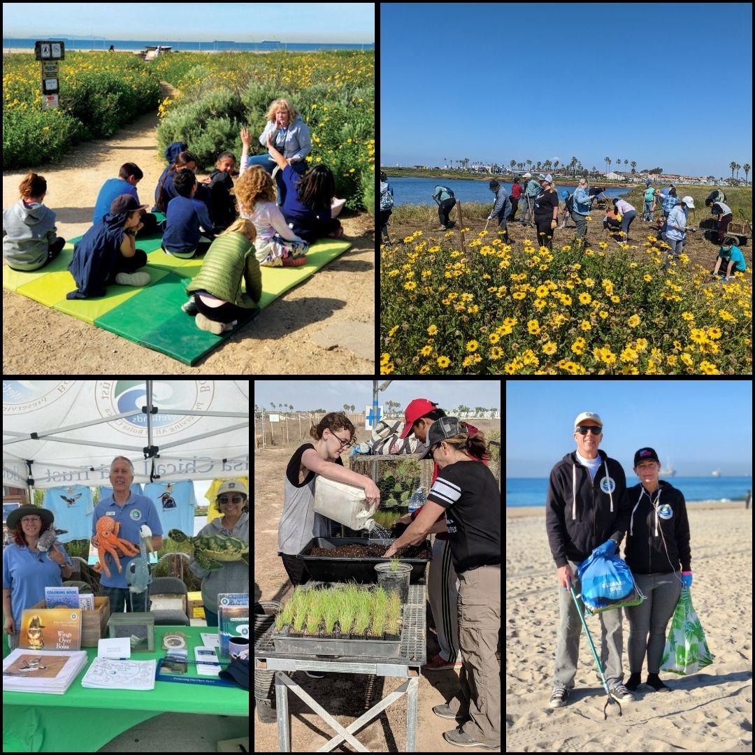 collage of volunteers