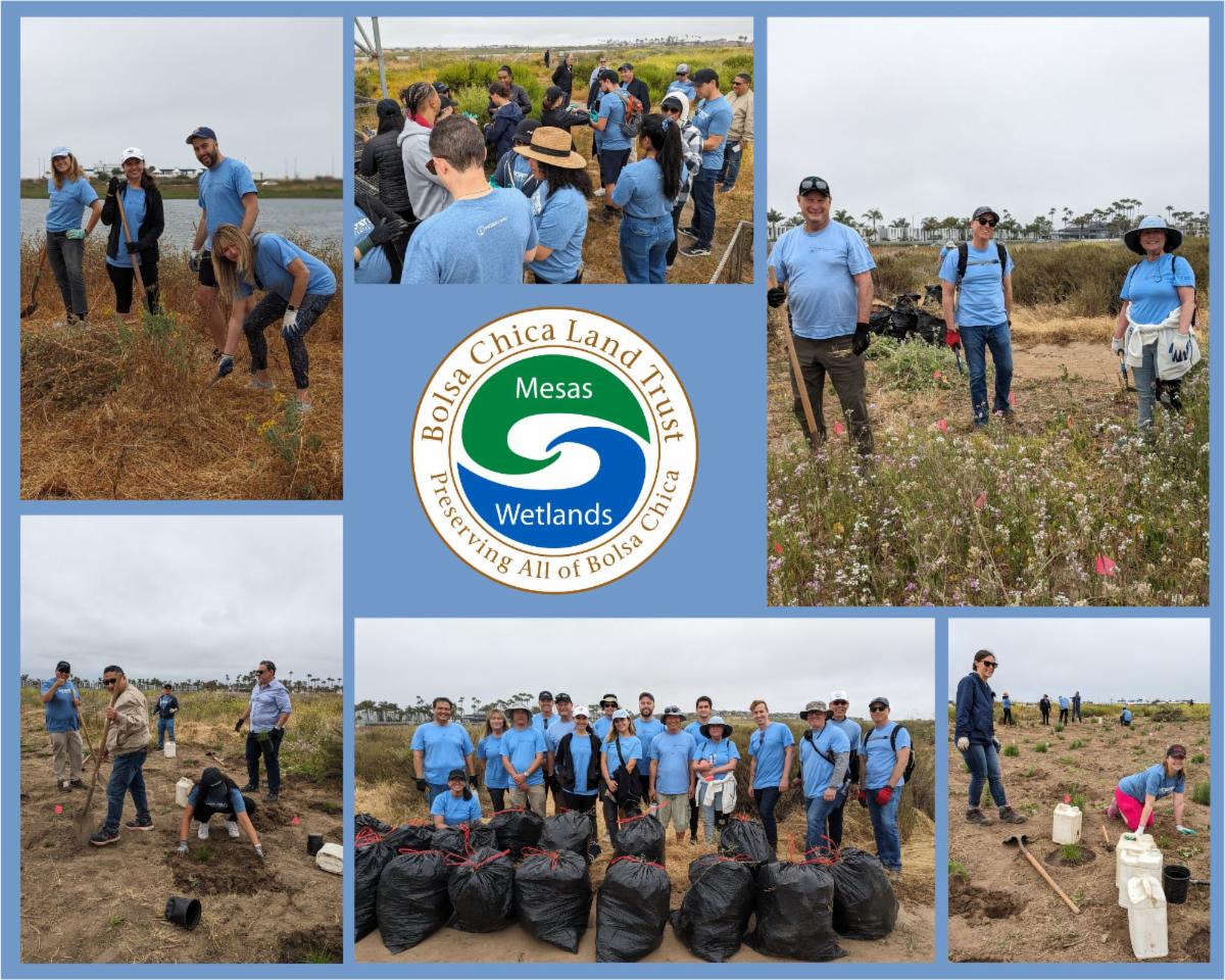 group volunteer collage