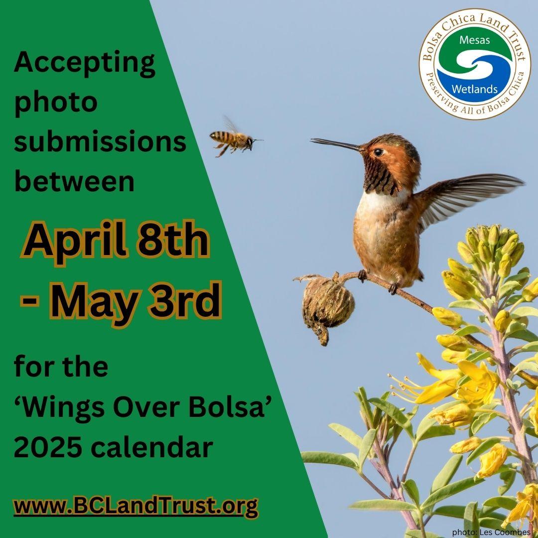 2025 calendar call for photo submissions