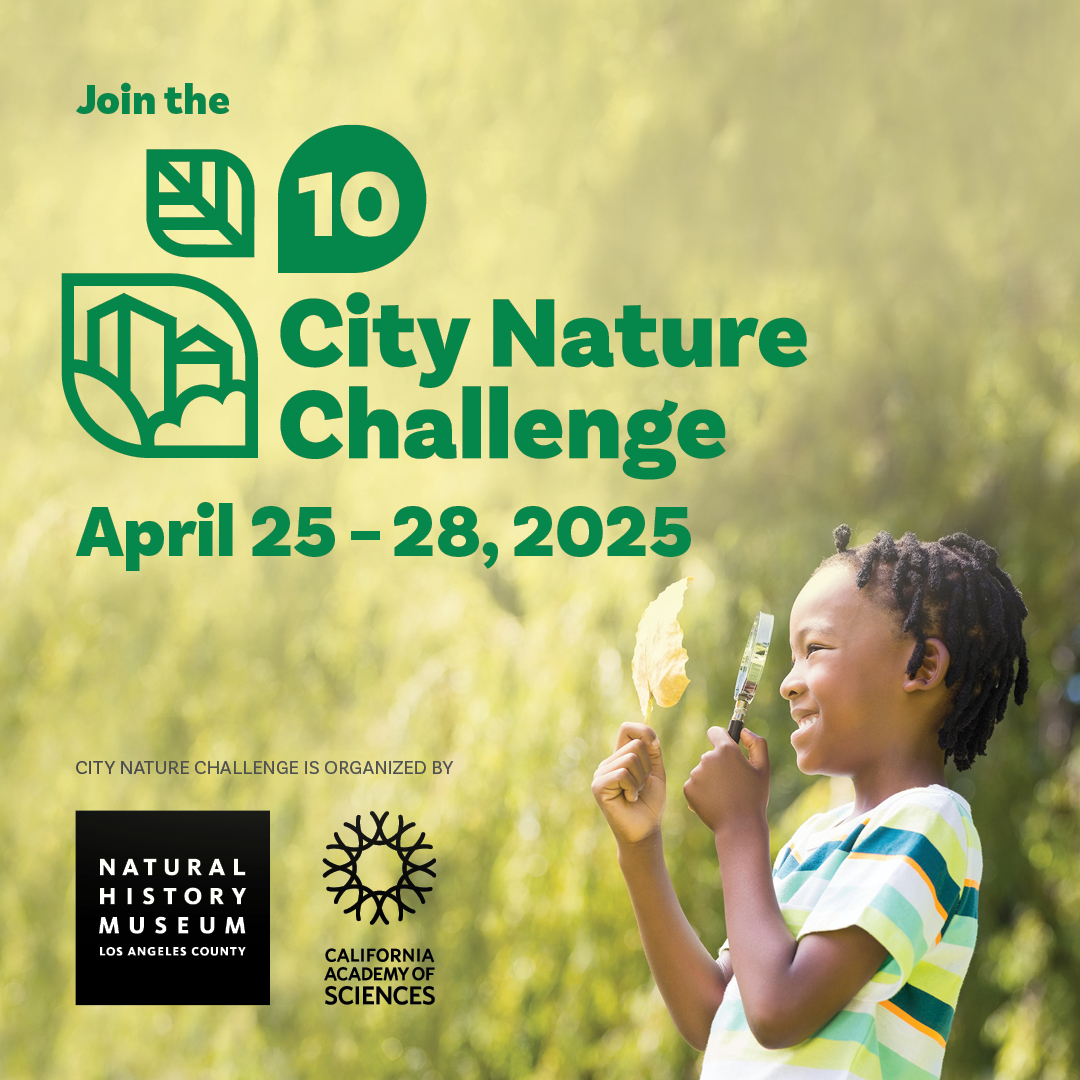 City Nature Challenge