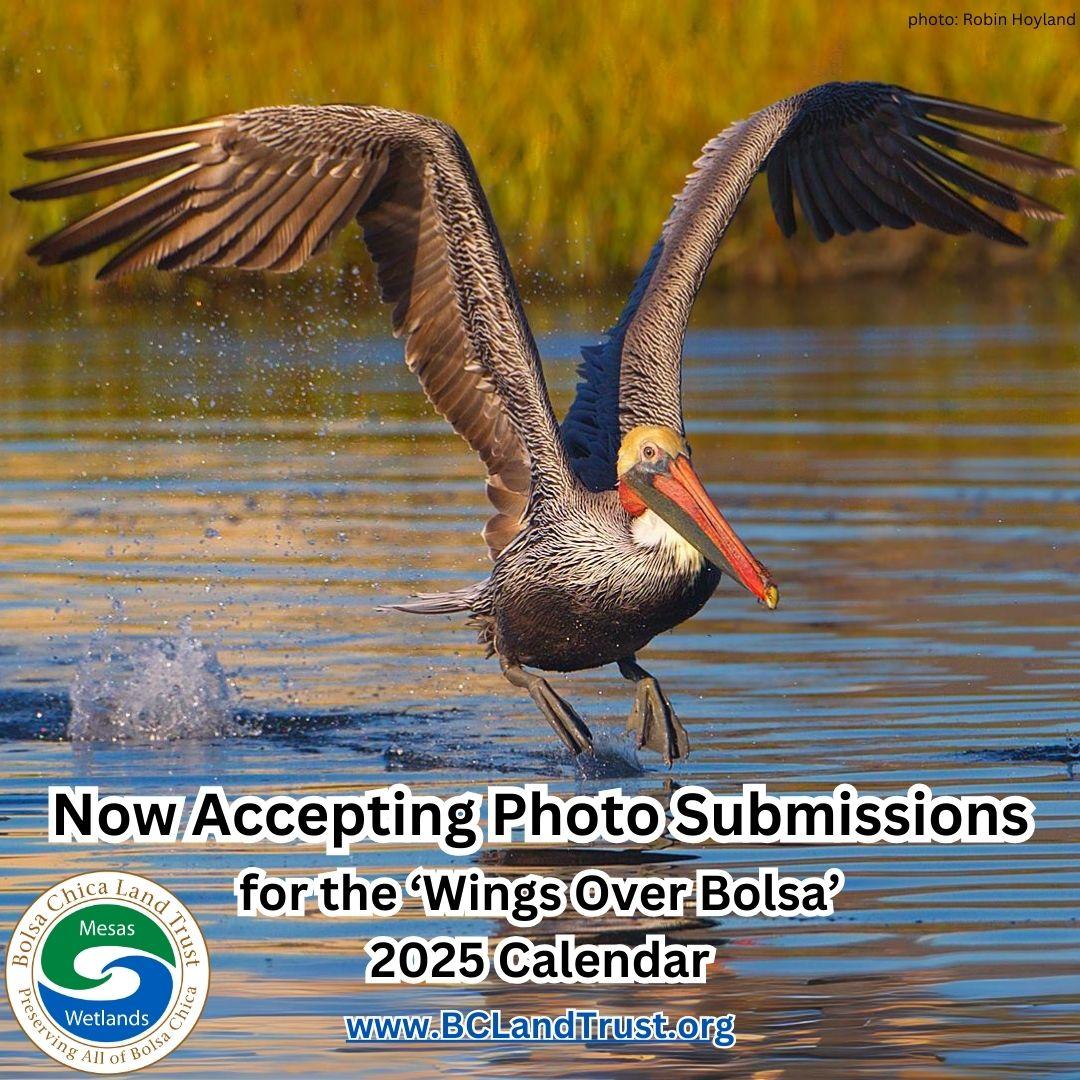 2025 calendar call for photo submissions