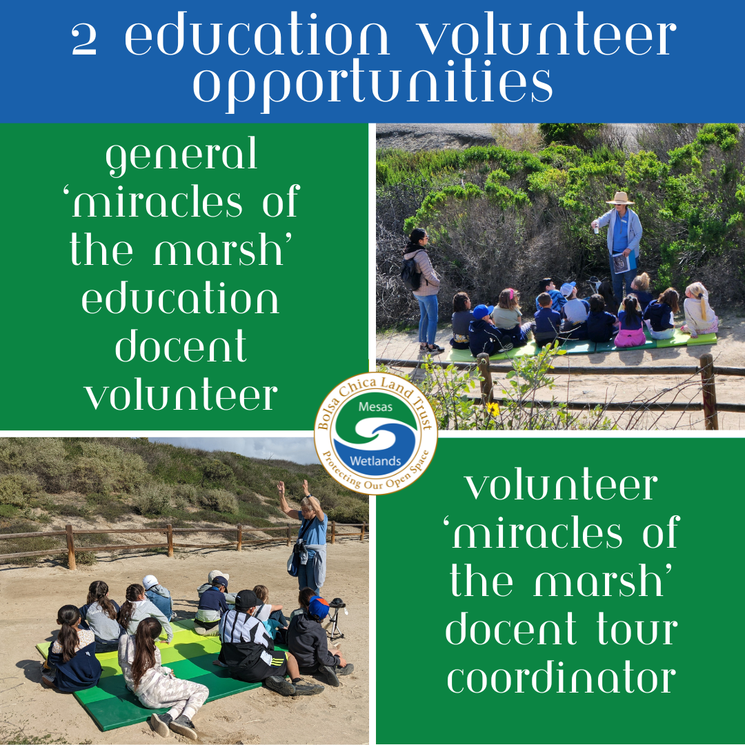 call for miracles docents