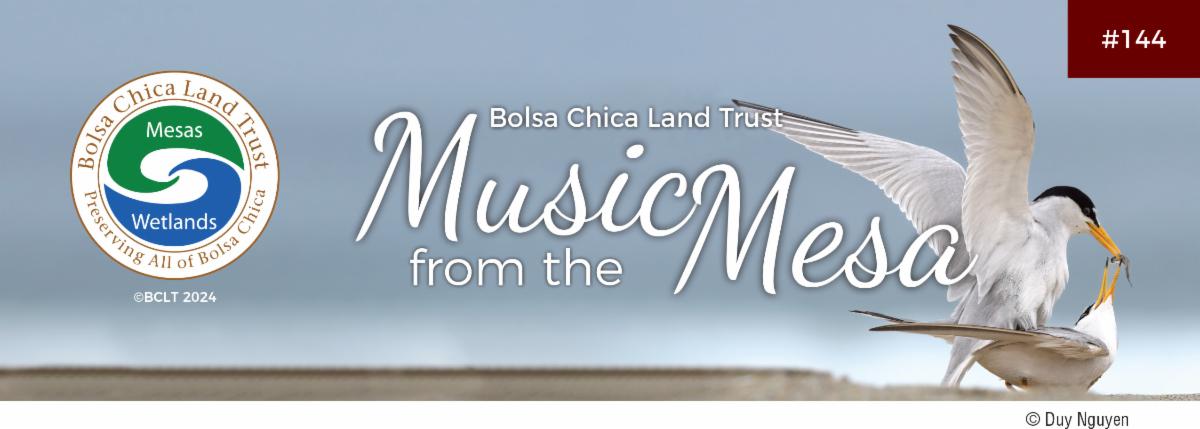 banner fall newsletter
