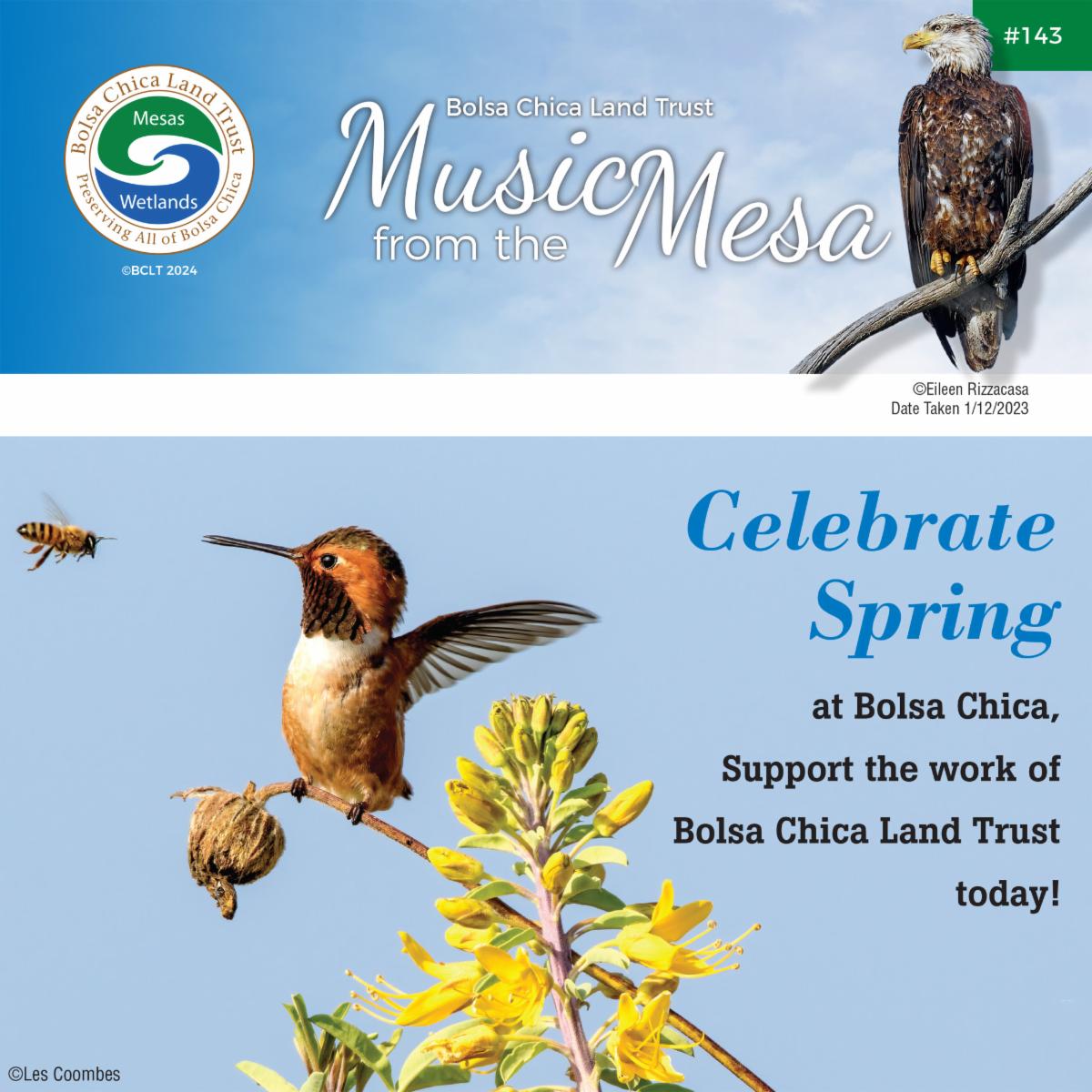 spring 'music from the mesa' newsletter