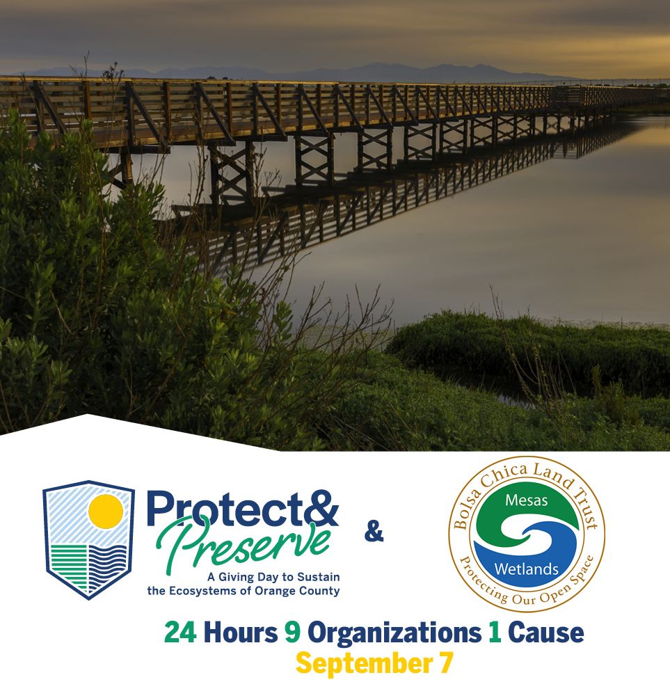OCCF Protect and Preserve 2022 promo