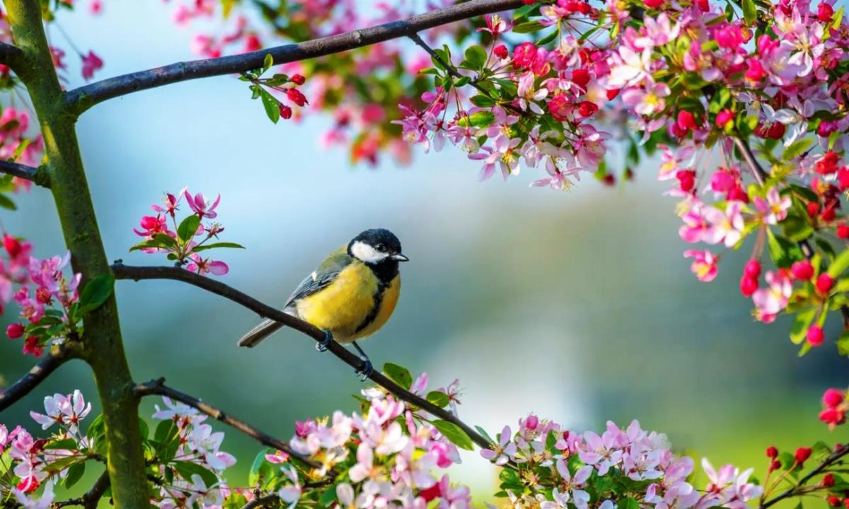 Happy Spring 2026