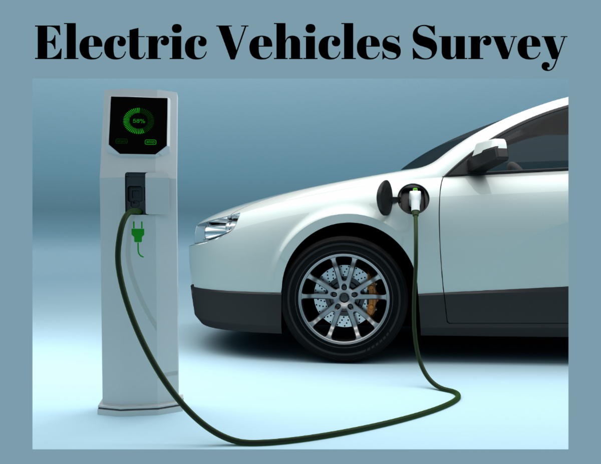 Electric Vehicles Survey