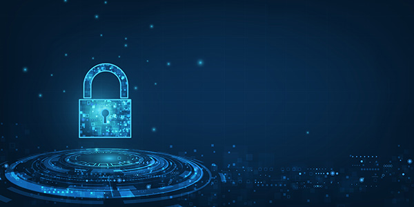 Cyber Security for the 2021 Holiday Season