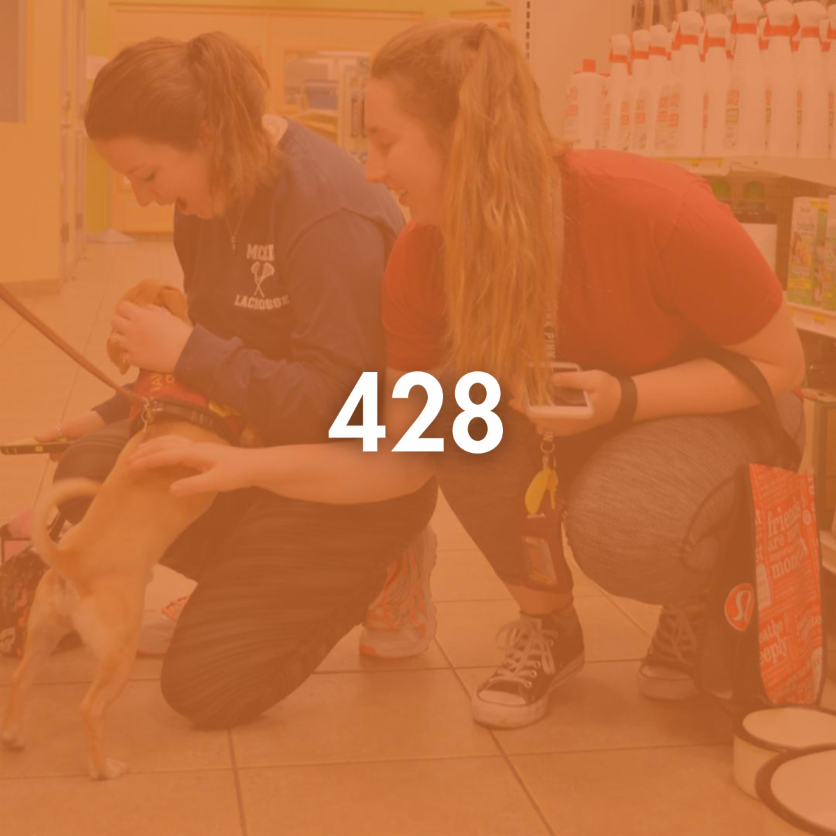 Feeding Pets of the Homeless Celebrates 14 Years 🐾